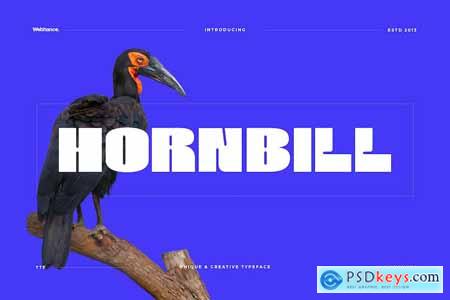 Hornbill - Modern Display Font