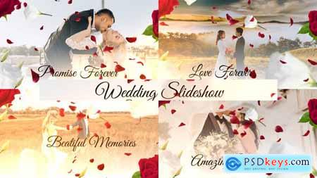 Wedding Slideshow 50367856