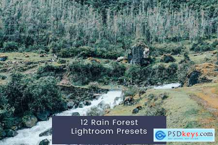 12 Rain Forest Lightroom Presets