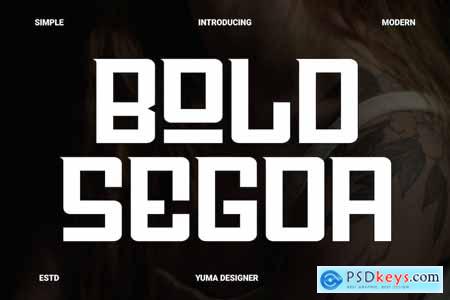 Bold Segoa Font