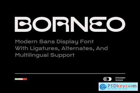 Borneo - Modern Sans Display Font