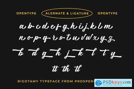 Rigotamy - Script Font