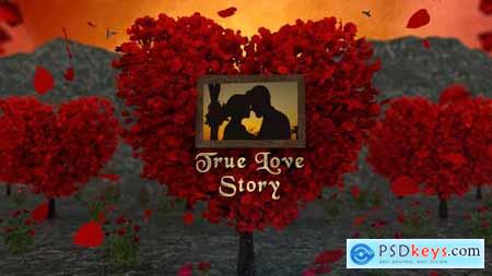 Love Story Slideshow 50501299