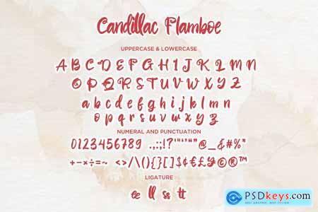 Candillac Flamboe - Handwritten Script fonts