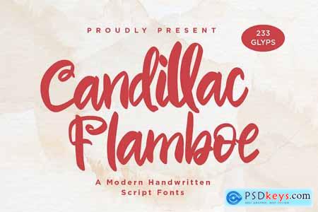 Candillac Flamboe - Handwritten Script fonts