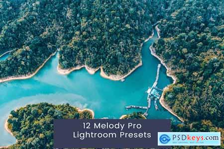 12 Melody Pro Lightroom Presets