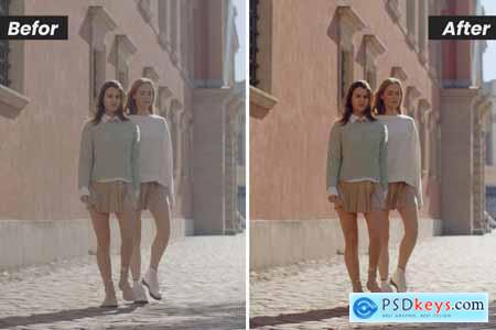Fashion and Standart Color Presets