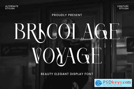 Bricolage Voyage - Elegant Display Font