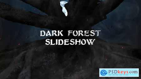 Dark Forest Slideshow 50734449