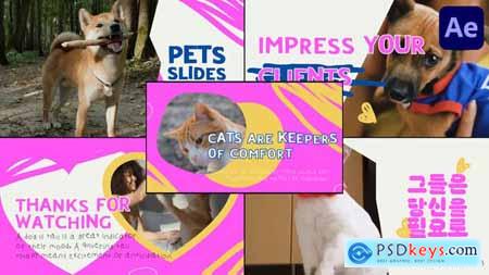 Slides Pets After Effects 50806866