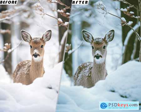 Snow - Winter Presets And luts Videos Premiere Pro