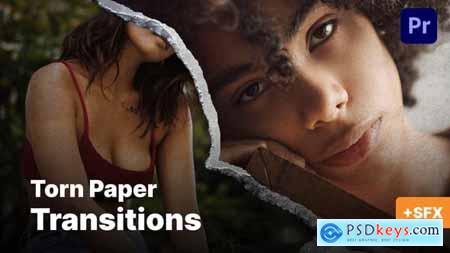 Paper Texture Transitions 50849997