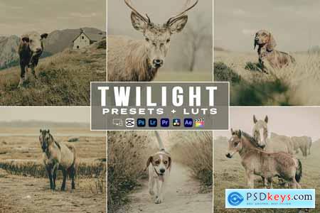 Twilight Lightroom Presets luts Video Premiere Pro