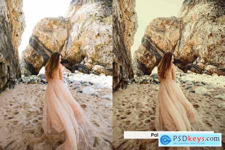 20 Sienna Lightroom Presets and LUTs