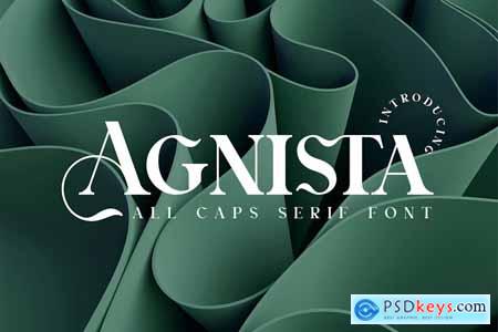 Agnista All Caps Serif Font