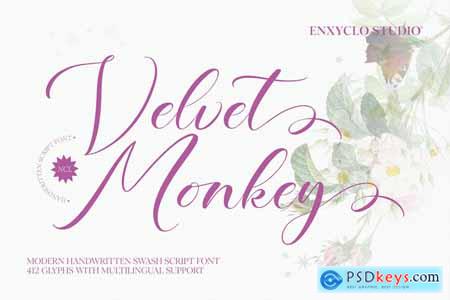 NCL Velvet Monkey - Handwritten Script Font
