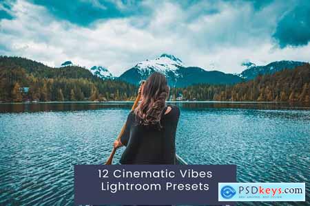 12 Cinematic Vibes Lightroom Presets