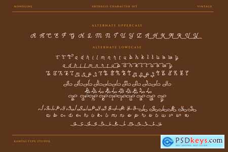 Arthegis Script Monoline Font