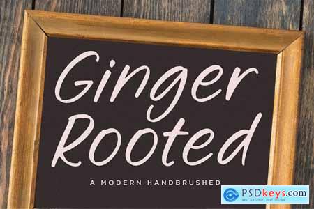 Ginger Rooted Script Font