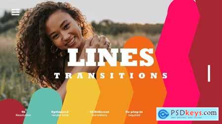 Flat Lines Transitions 51169949