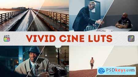 Vivid Cine LUTs FCPX & Apple Motion 50896161