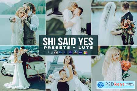 Shi Said Yes Presets - luts Videos Premiere Pro