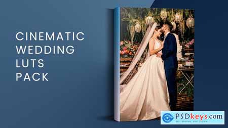 Cinematic Wedding LUTs Pack FCPX 51198517