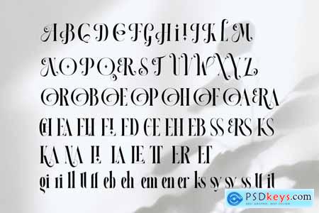 HIAR MIORIN Serif Typeface