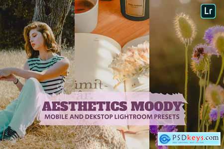 Aesthetic Moody Lightroom Presets Dekstop Mobile