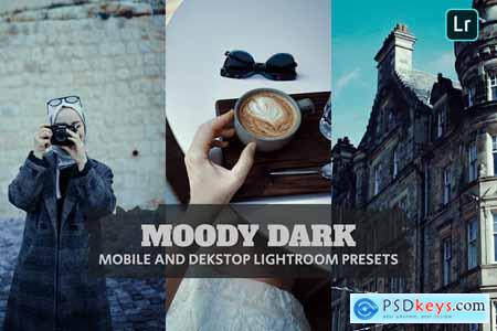 Moody Dark Lightroom Presets Dekstop and Mobile