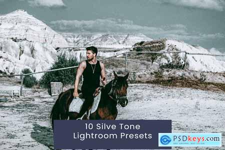 10 Silve Tone Lightroom Presets