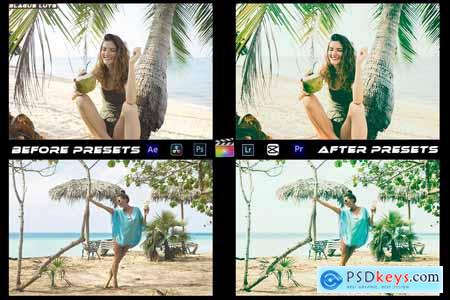 Bali Summer Luts Video Editing Premiere Pro