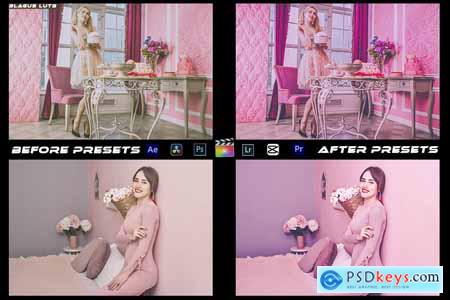 Pink Blogger Luts Video Editing Premiere Pro