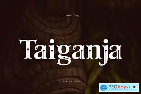 Taiganja - Culture Serif Font