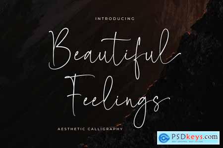 Beautiful Feelings - Aesthetic Font