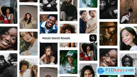 Mosaic Search Reveals 51506368
