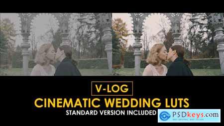 V-Log Cinema Wedding and Standard Color LUTs 51443948