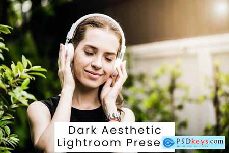 Dark Aesthetic Lightroom Presets