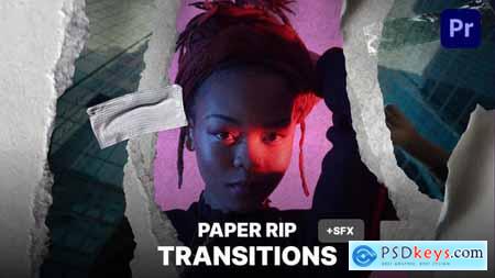 Paper Rip Transitions v2 51395840