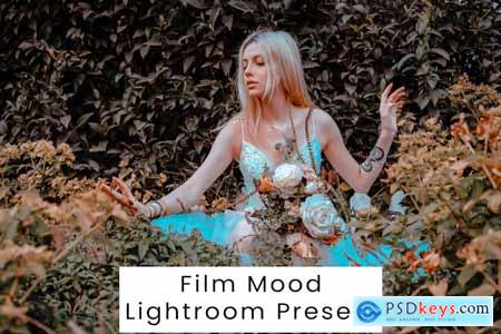 Film Mood Lightroom Presets