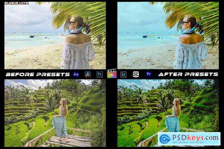 Bali Cinematic Presets And luts Premiere Pro