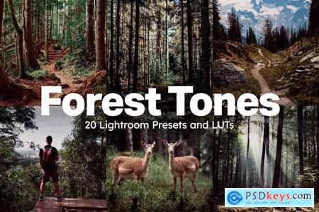 20 Forest Tones Lightroom Presets and LUTs