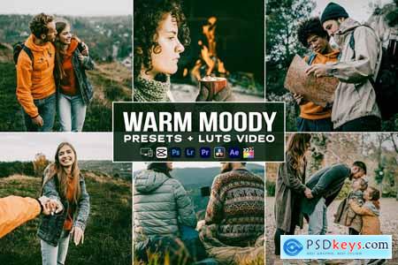 Warm Moody Presets - luts Videos Premiere Pro