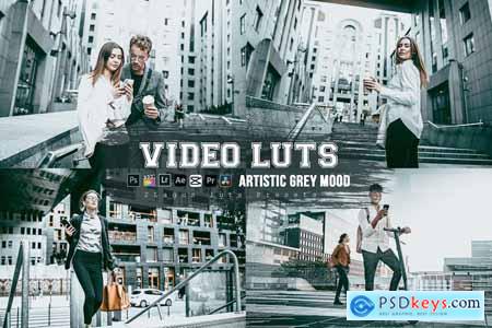 Artistic Grey Mood Preset Luts Video Premiere Pro