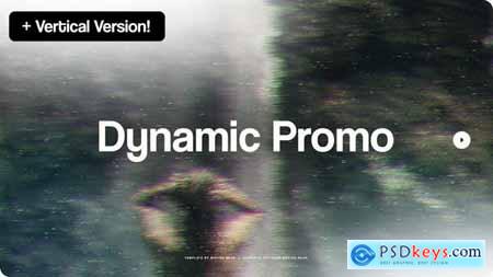 Dynamic Promo 51340416