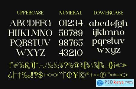 Boniro - Serif Display Typeface