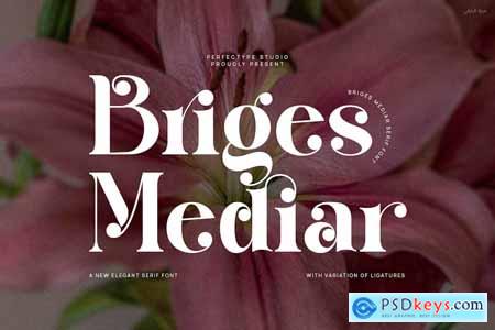 Briges Mediar Elegant Ligature Serif Font Typeface