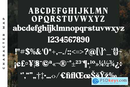 Mistys Relrica Modern Retro Serif