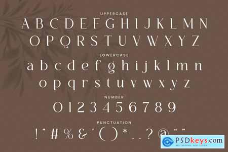 Serita Serif Font