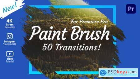 Brush Transitions 31779011
